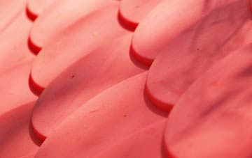 Bignall End plastic roof costs